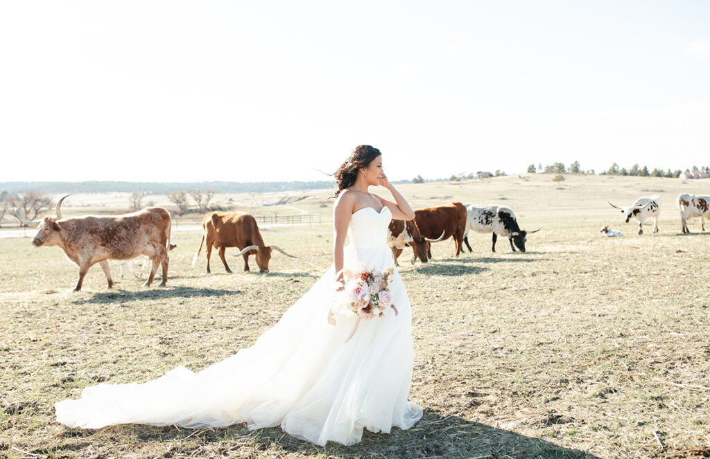 Western wedding inspiration in Colorado Springs at younger ranch