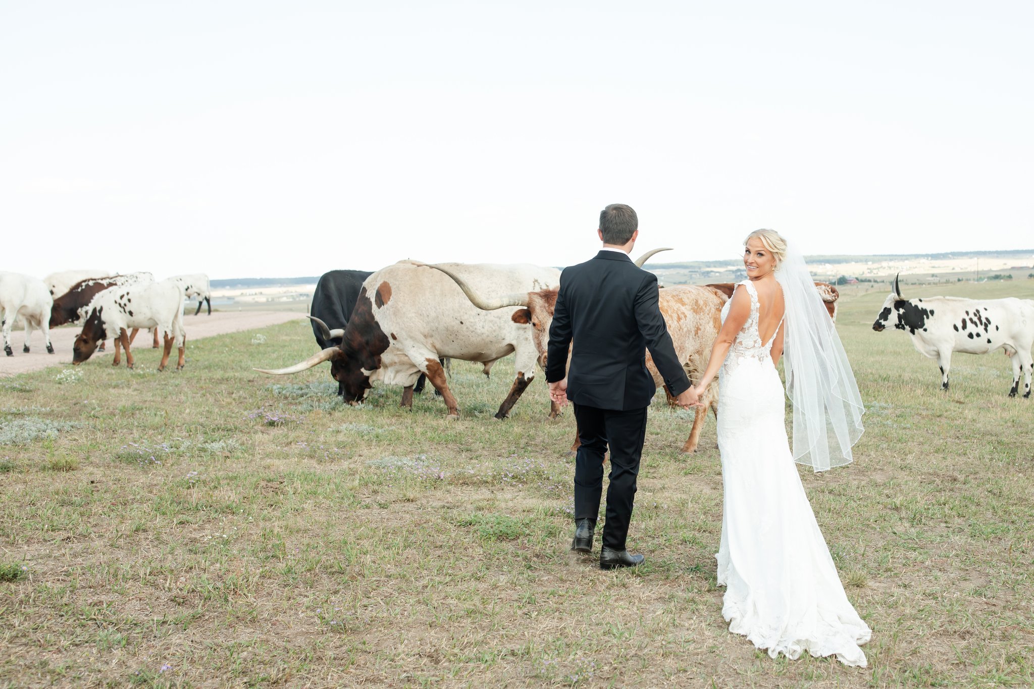 Lauren looks over her shoulder as they look at longhorns. She's in her wedding dress and Nick is in his tux.